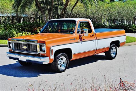 Chevy Truck 1973 